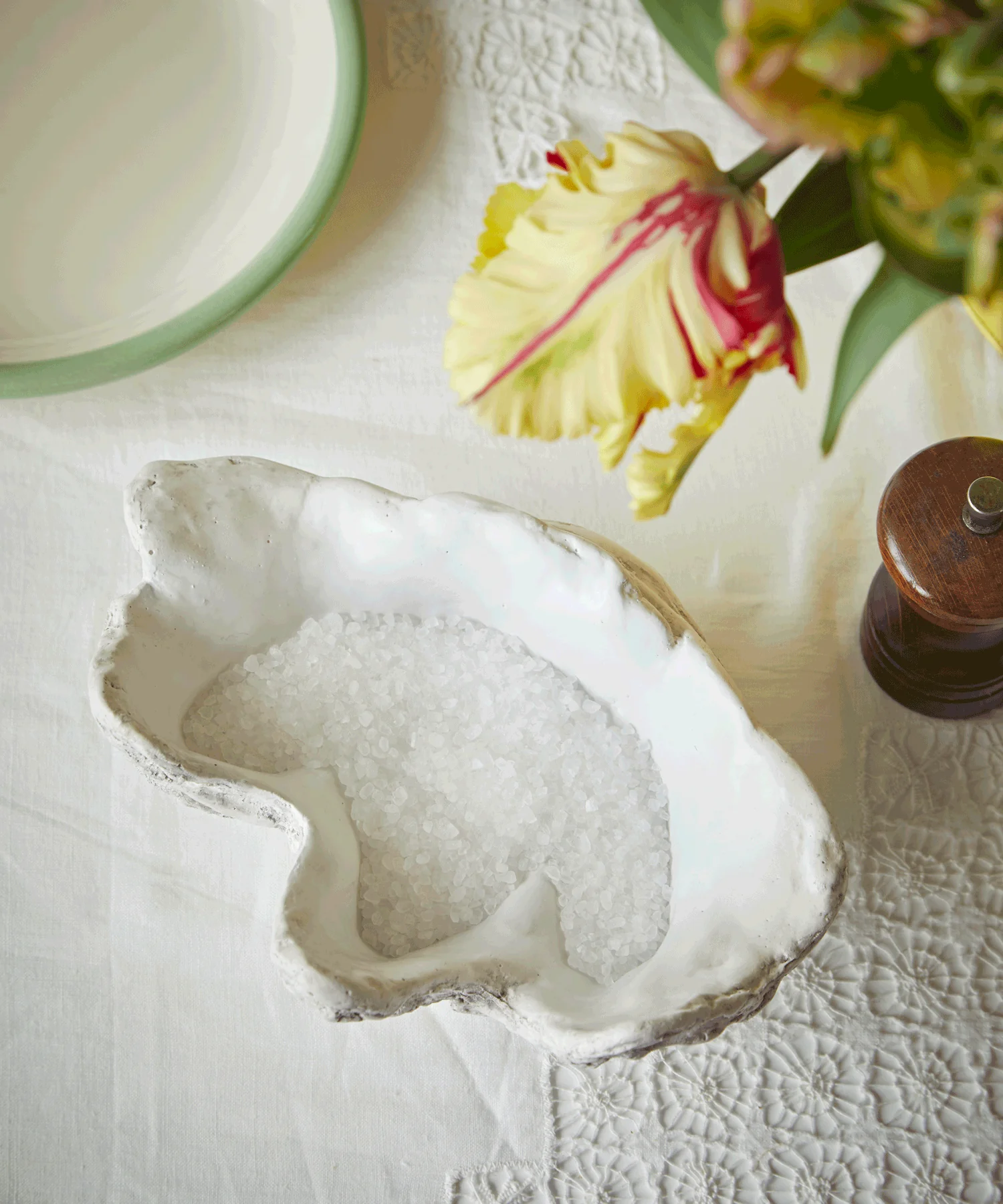 Clam Shell, Small - Image 5