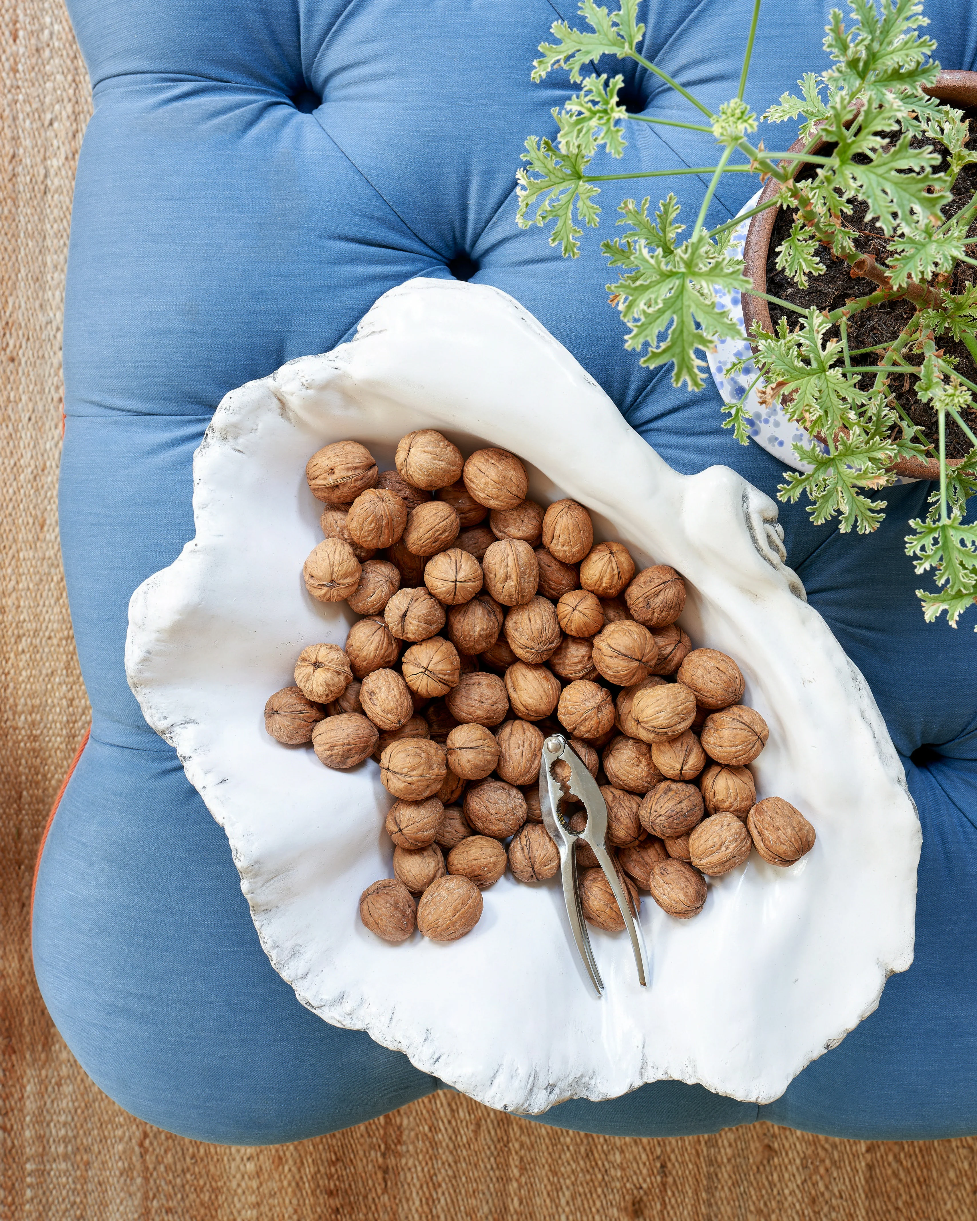 Giant Clam Shell, White - Image 3