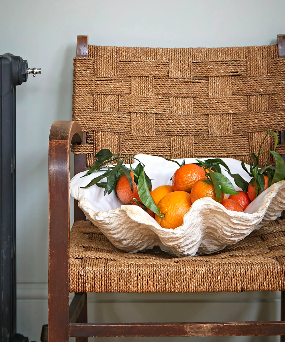 Giant Clam Shell, White - Image 4
