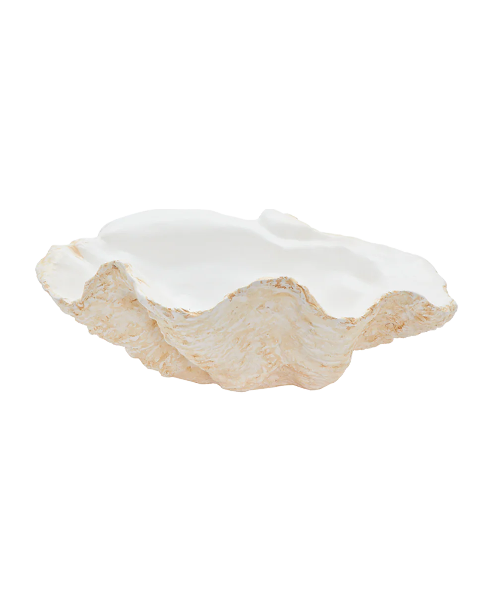 Giant Clam Shell, White - Image 6